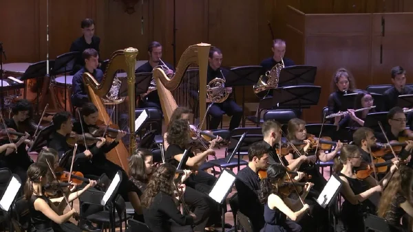 Франц Шуберт. Симфония № 4 («Трагическая») до минор, D 417I. Adagio molto - Allegro vivace
