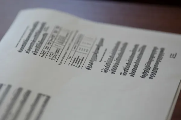 Оркестровый факультет (концертные струнные инструменты), иностранное отделение